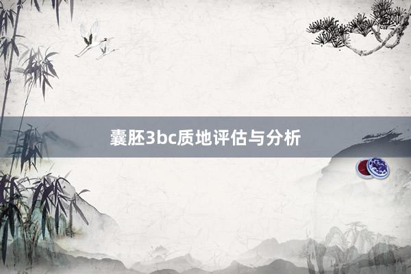 囊胚3bc质地评估与分析